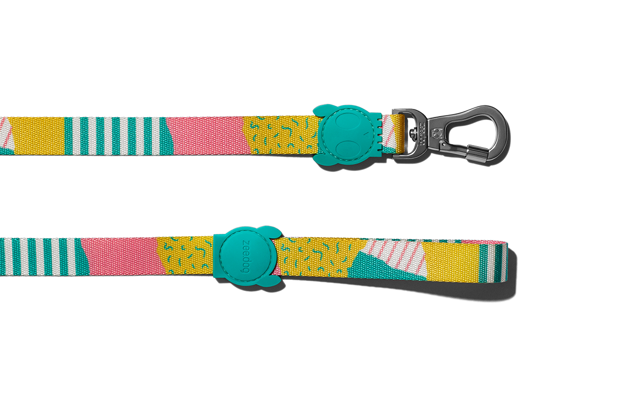 Zee.Dog Dog Leash (Salina) XS