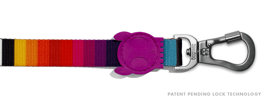 Zee.Dog Dog Leash (Prisma) XS
