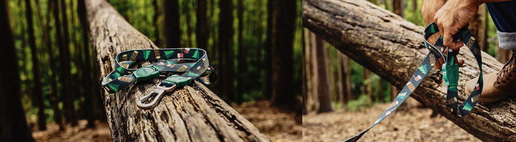 Zee.Dog Dog Leash (Woods) XS
