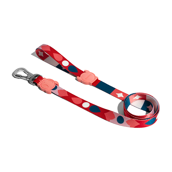 Zee.Dog Dog Leash (Same)
