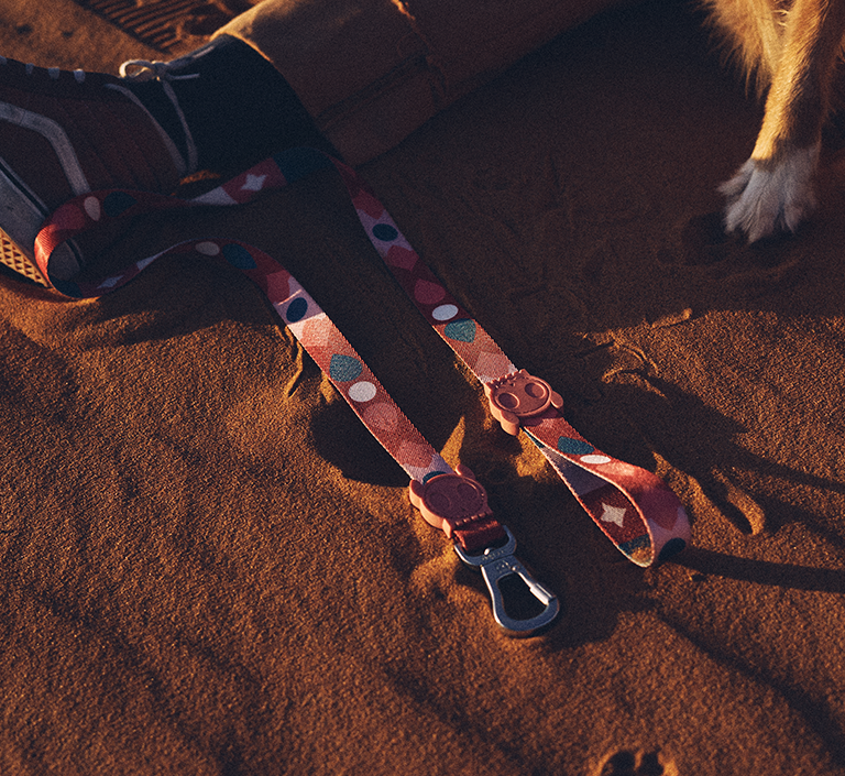 Zee.Dog Dog Leash (Same)