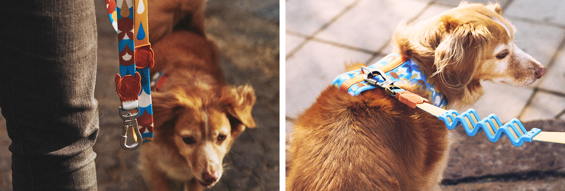 Zee.Dog Dog Leash (Yansun) XS