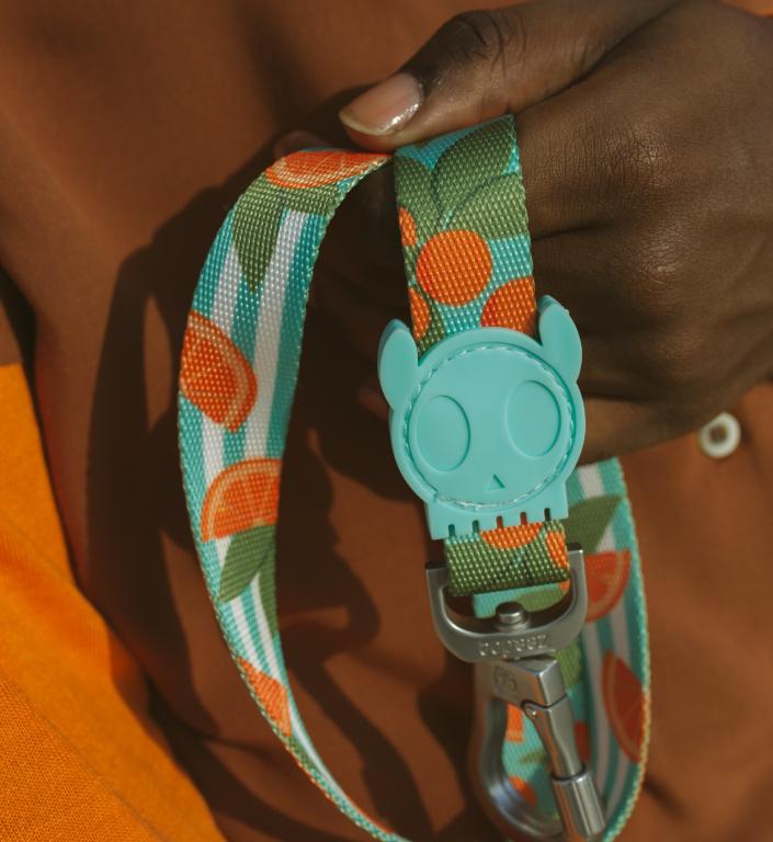 Zee.Dog Dog Leash (Florida)