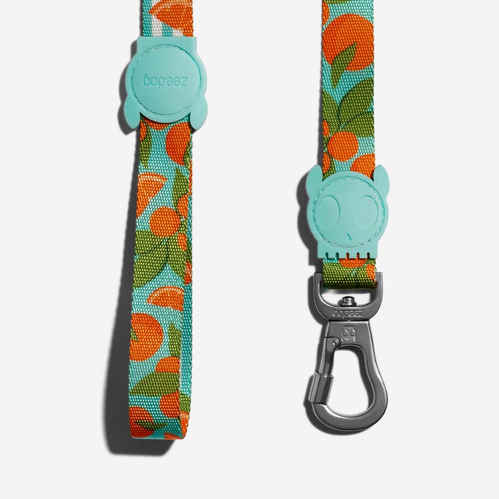 Zee.Dog Dog Leash (Florida)