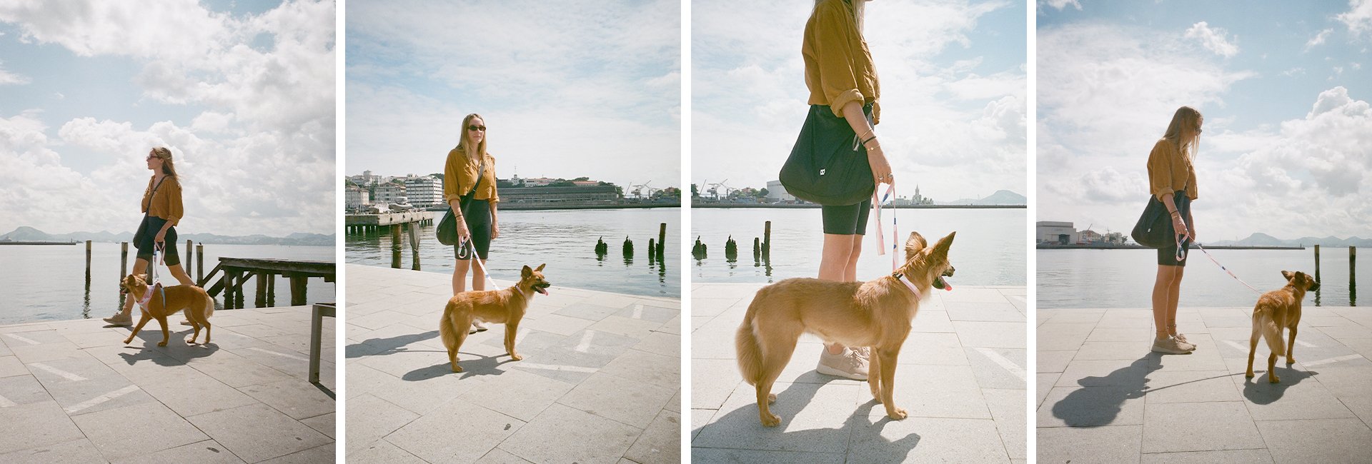 Zee.Dog Dog Leash (Columbia)