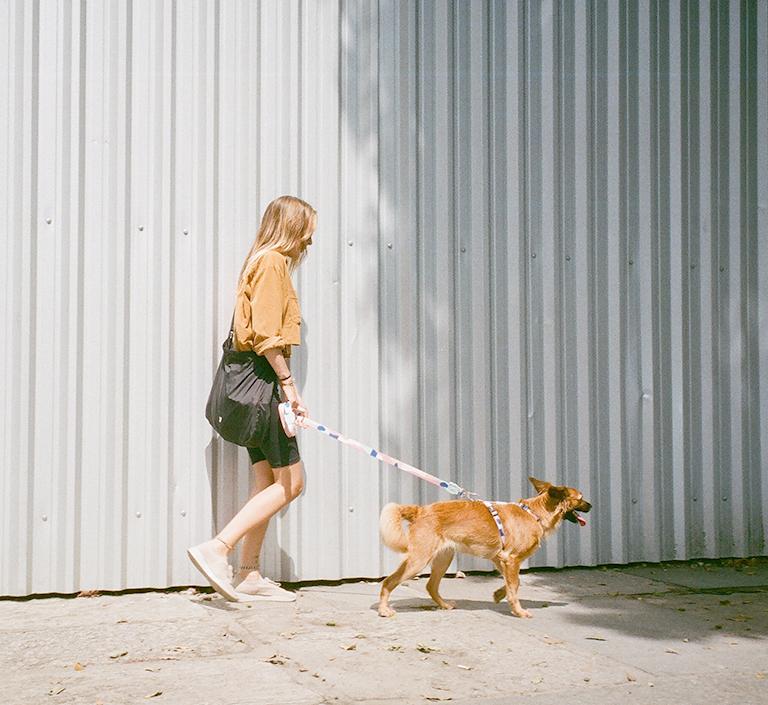 Zee.Dog Dog Leash (Columbia)