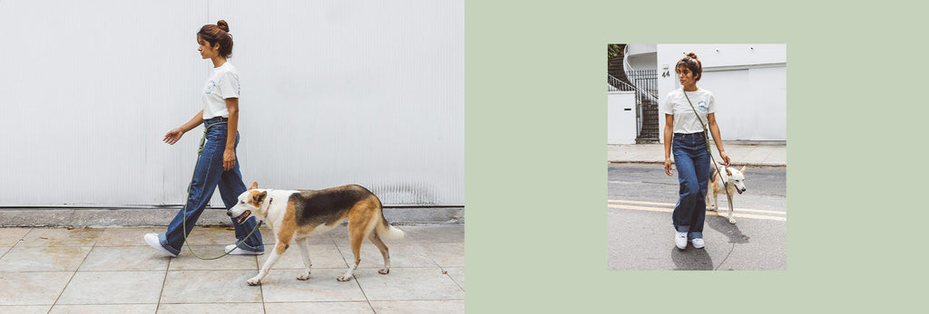 Zee.Dog Hands-Free Dog Leash (Army Green)