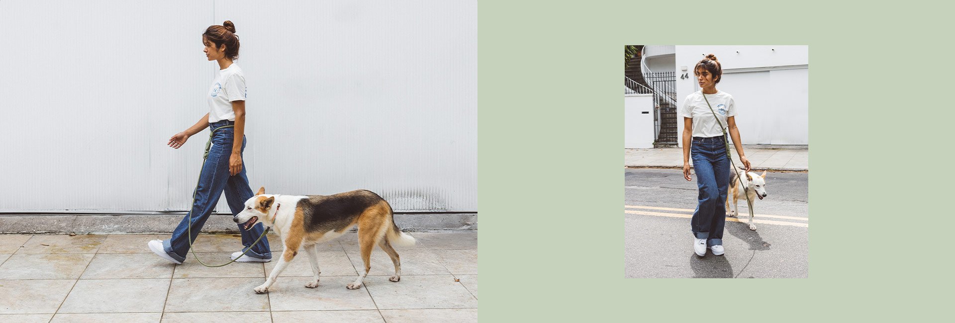 Zee.Dog Hands-Free Dog Leash (Army Green)