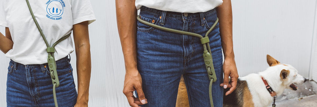 Zee.Dog Hands-Free Dog Leash (Army Green)