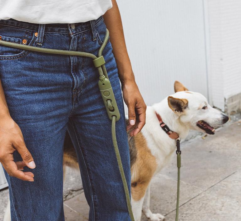 Zee.Dog Hands-Free Dog Leash (Army Green)
