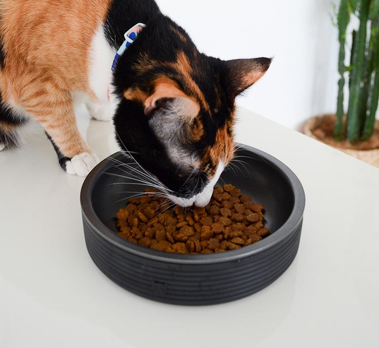Zee.Cat Duo Cat Bowl (Black)