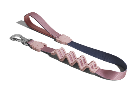 Zee.Dog Ruff Shock Absorbent Dog Leash (Folk)