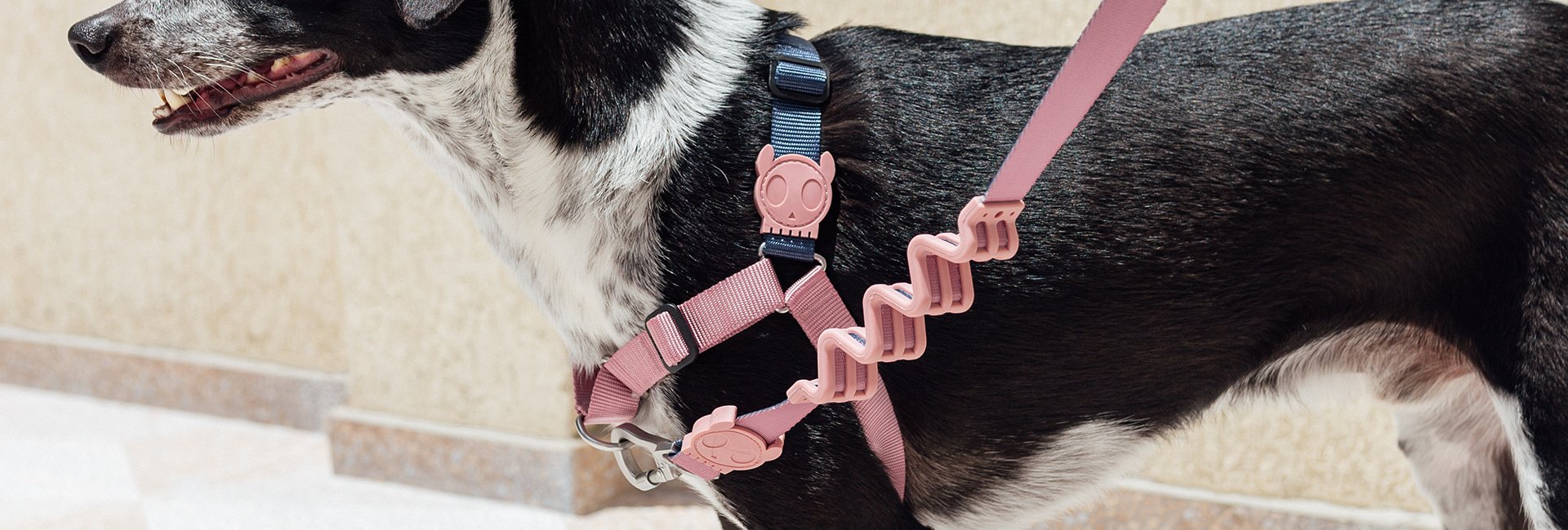 Zee.Dog Ruff Shock Absorbent Dog Leash (Folk)