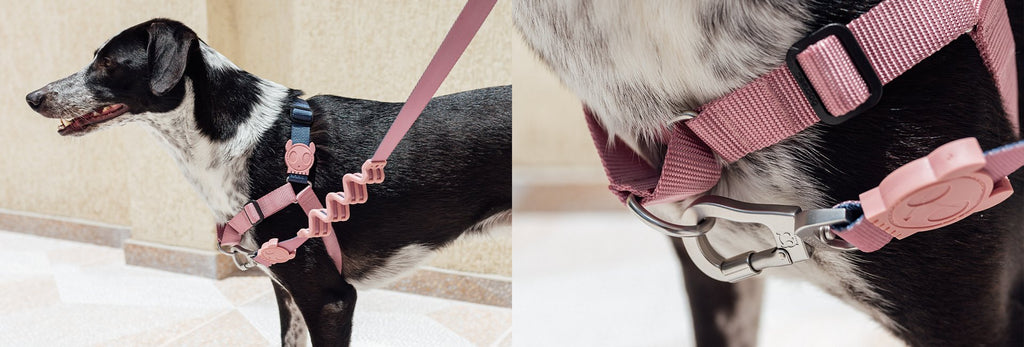 Zee.Dog Ruff Shock Absorbent Dog Leash (Folk)