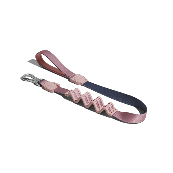 Zee.Dog Ruff Shock Absorbent Dog Leash (Folk)