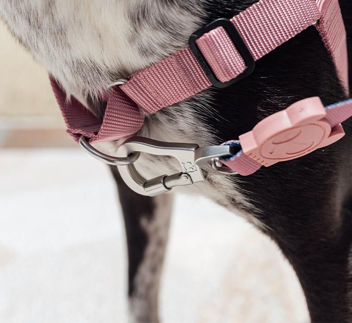 Zee.Dog Ruff Shock Absorbent Dog Leash (Folk)