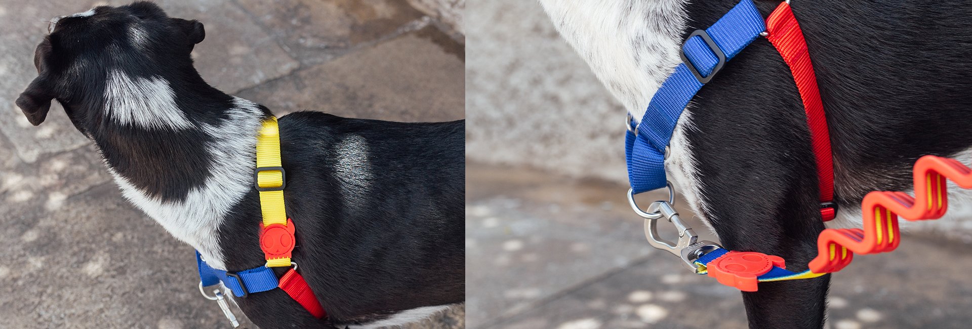 Zee.Dog Ruff Shock Absorbent Dog Leash (Puzzle)